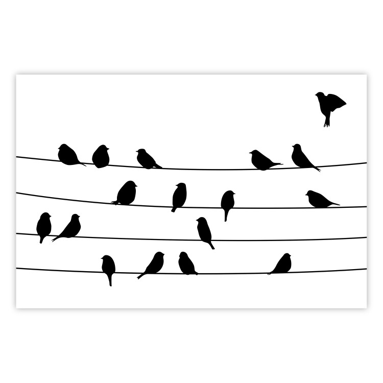 Poster Bird Family - black and white birds sitting on wires on a white background 125090