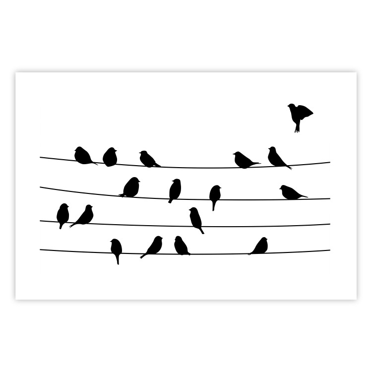 Poster Bird Family - black and white birds sitting on wires on a white background 125090 additionalImage 25