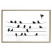Poster Bird Family - black and white birds sitting on wires on a white background 125090 additionalThumb 16