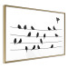 Poster Bird Family - black and white birds sitting on wires on a white background 125090 additionalThumb 6