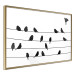 Poster Bird Family - black and white birds sitting on wires on a white background 125090 additionalThumb 12