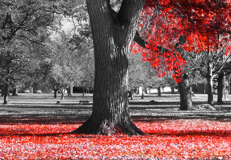 Large canvas print Autumn in the Park (Red) [Large Format] 125590 additionalImage 3