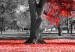 Large canvas print Autumn in the Park (Red) [Large Format] 125590 additionalThumb 3