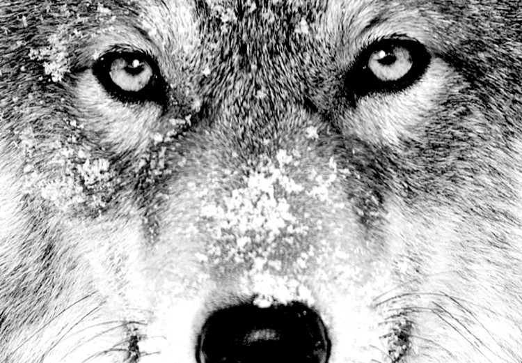 Canvas Print Snow Wolf (1 Part) Vertical 126290 additionalImage 5