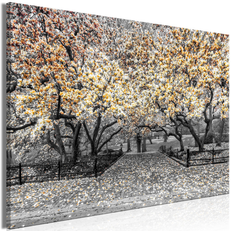 Canvas Blooming Magnolias - magnolia trees with flowers in shades of orange 128790 additionalImage 2