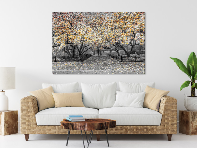 Canvas Blooming Magnolias - magnolia trees with flowers in shades of orange 128790 additionalImage 3