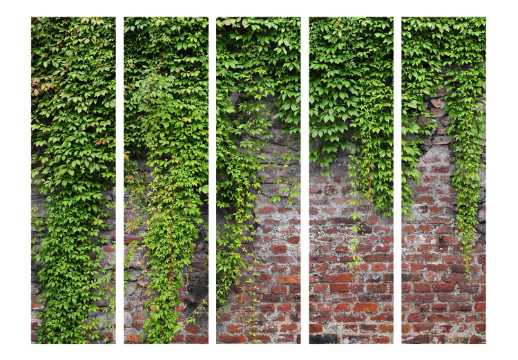 Room Divider Bricks and Ivy II (5-piece) - green plants covering the wall 132790 additionalImage 3