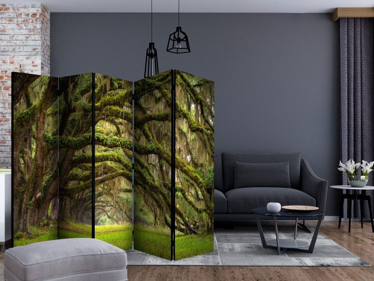 Room Separator Embrace of Trees II (5-piece) - landscape of picturesque wild forest 132990 additionalImage 4