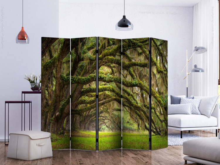 Room Separator Embrace of Trees II (5-piece) - landscape of picturesque wild forest 132990 additionalImage 2