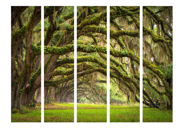 Room Separator Embrace of Trees II (5-piece) - landscape of picturesque wild forest 132990 additionalImage 3