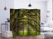 Room Separator Embrace of Trees II (5-piece) - landscape of picturesque wild forest 132990 additionalThumb 2