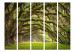 Room Separator Embrace of Trees II (5-piece) - landscape of picturesque wild forest 132990 additionalThumb 3