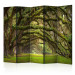 Room Separator Embrace of Trees II (5-piece) - landscape of picturesque wild forest 132990