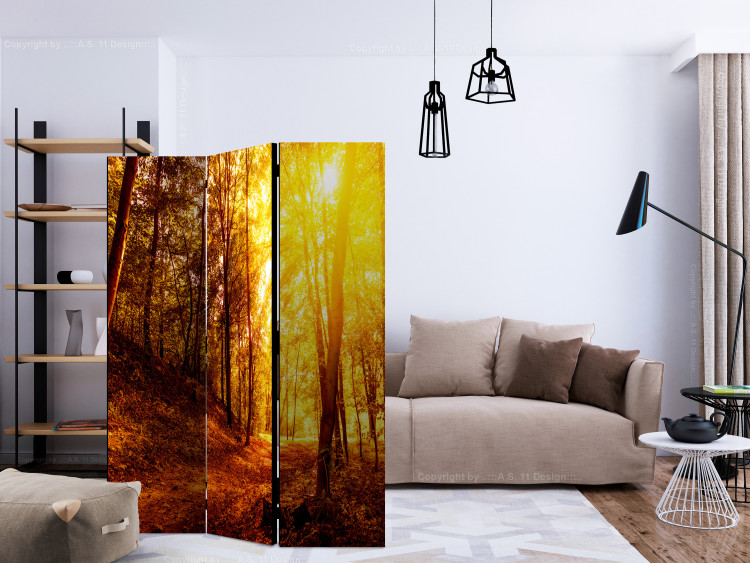 Room Divider Autumn Stroll - landscape of golden tree scenery in an autumn forest 134090 additionalImage 4