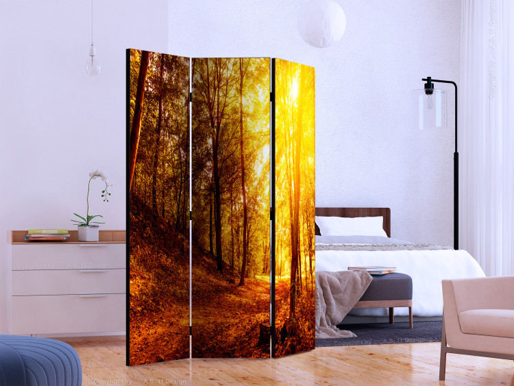 Room Divider Autumn Stroll - landscape of golden tree scenery in an autumn forest 134090 additionalImage 2