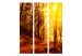Room Divider Autumn Stroll - landscape of golden tree scenery in an autumn forest 134090 additionalThumb 3