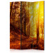 Room Divider Autumn Stroll - landscape of golden tree scenery in an autumn forest 134090