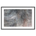 Wall Poster Gray Feather - abstract composition of feathers on a concrete texture 135790 additionalThumb 11
