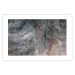 Wall Poster Gray Feather - abstract composition of feathers on a concrete texture 135790 additionalThumb 9