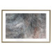 Wall Poster Gray Feather - abstract composition of feathers on a concrete texture 135790 additionalThumb 13