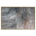 Wall Poster Gray Feather - abstract composition of feathers on a concrete texture 135790 additionalThumb 12