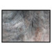 Wall Poster Gray Feather - abstract composition of feathers on a concrete texture 135790 additionalThumb 10