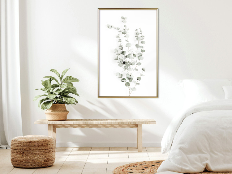Poster Eucalyptus Caesia - simple composition with green leaves on a white background 137490 additionalImage 3