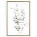 Poster Eucalyptus Caesia - simple composition with green leaves on a white background 137490 additionalThumb 9