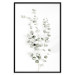 Poster Eucalyptus Caesia - simple composition with green leaves on a white background 137490 additionalThumb 10
