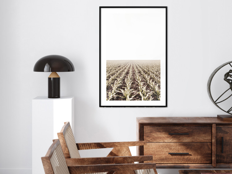 Poster Cornfield - rural landscape overlooking fields and a clear sky 137690 additionalImage 25