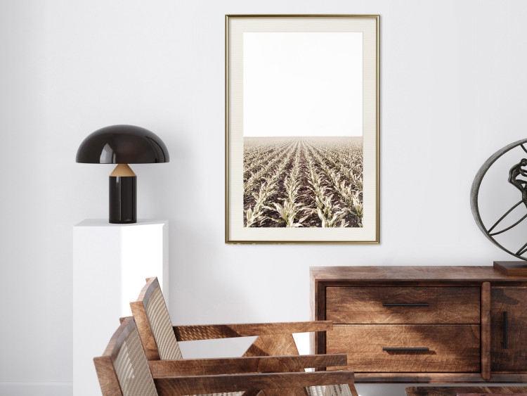Poster Cornfield - rural landscape overlooking fields and a clear sky 137690 additionalImage 22