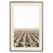 Poster Cornfield - rural landscape overlooking fields and a clear sky 137690 additionalThumb 27