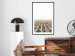 Poster Cornfield - rural landscape overlooking fields and a clear sky 137690 additionalThumb 25
