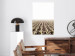 Poster Cornfield - rural landscape overlooking fields and a clear sky 137690 additionalThumb 21