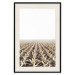 Poster Cornfield - rural landscape overlooking fields and a clear sky 137690 additionalThumb 26
