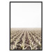 Poster Cornfield - rural landscape overlooking fields and a clear sky 137690 additionalThumb 15