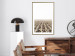 Poster Cornfield - rural landscape overlooking fields and a clear sky 137690 additionalThumb 24