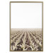 Poster Cornfield - rural landscape overlooking fields and a clear sky 137690 additionalThumb 11