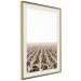 Poster Cornfield - rural landscape overlooking fields and a clear sky 137690 additionalThumb 3