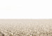 Poster Cornfield - rural landscape overlooking fields and a clear sky 137690 additionalThumb 6