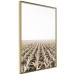 Poster Cornfield - rural landscape overlooking fields and a clear sky 137690 additionalThumb 10