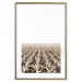 Poster Cornfield - rural landscape overlooking fields and a clear sky 137690 additionalThumb 17