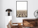 Poster Cornfield - rural landscape overlooking fields and a clear sky 137690 additionalThumb 19