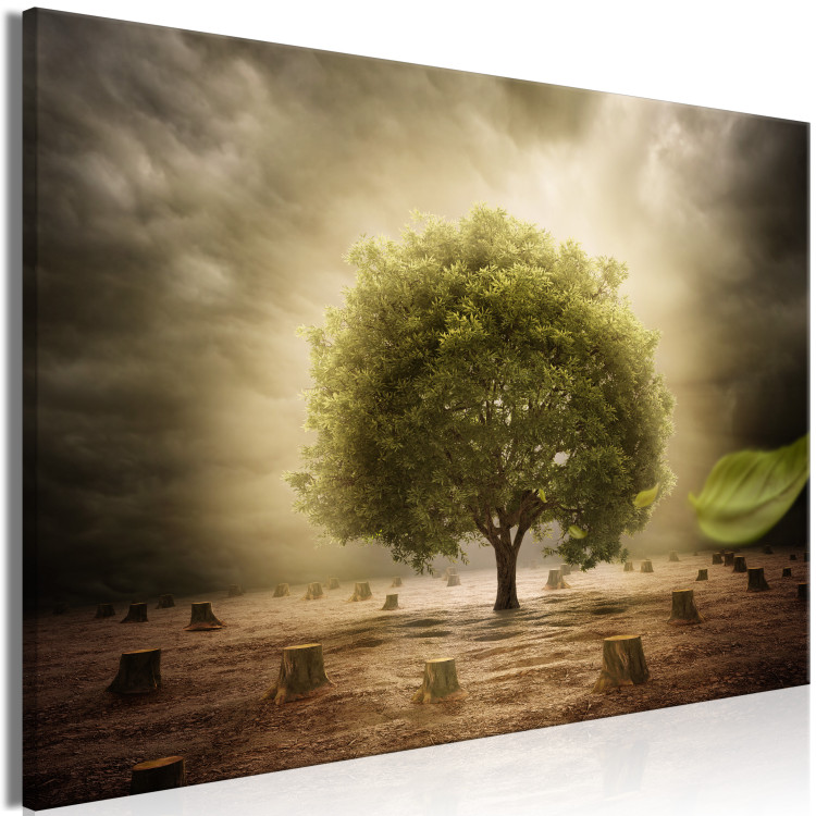 Canvas Farewell (1-piece) Wide - lonely tree among cut stumps 138390 additionalImage 2