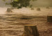 Canvas Farewell (1-piece) Wide - lonely tree among cut stumps 138390 additionalThumb 5