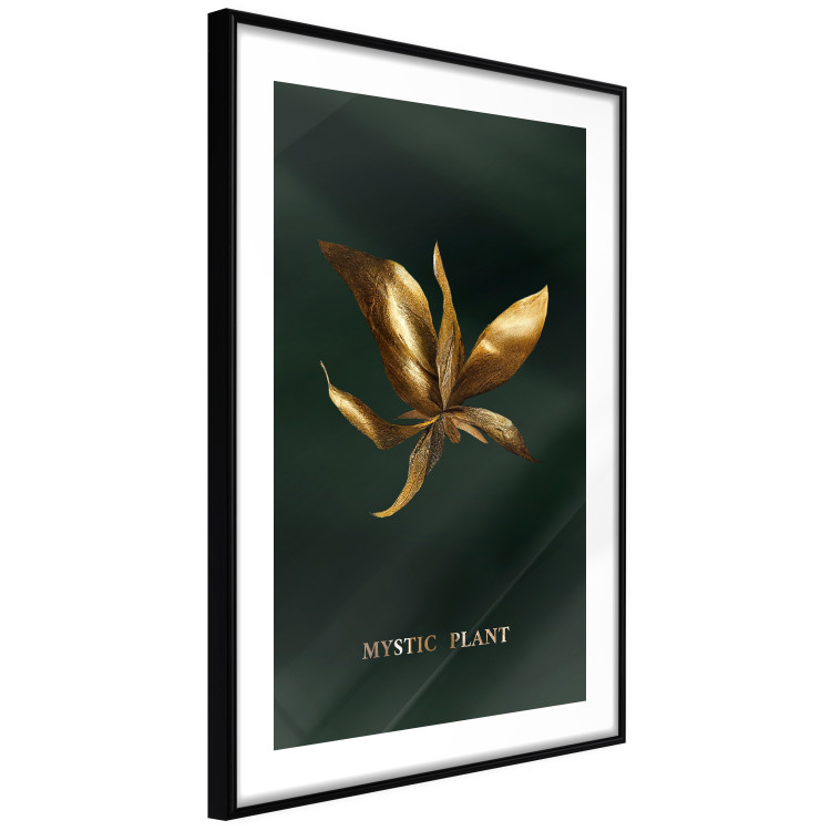 Wall Poster Shimmering Plant - Flower on a Green Silky Background 148890 additionalImage 8