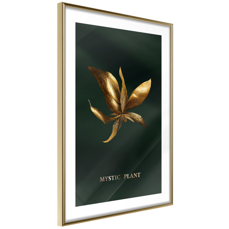 Wall Poster Shimmering Plant - Flower on a Green Silky Background 148890 additionalImage 7