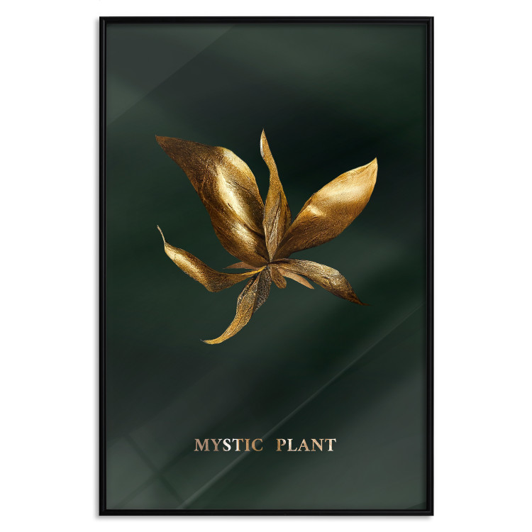 Wall Poster Shimmering Plant - Flower on a Green Silky Background 148890 additionalImage 22