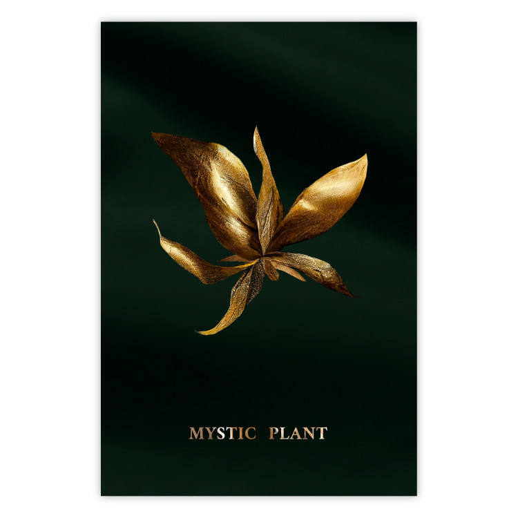 Wall Poster Shimmering Plant - Flower on a Green Silky Background 148890