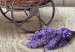 Canvas Print Secret Lavender Bouquet (1 Part) Wide 149990 additionalThumb 4